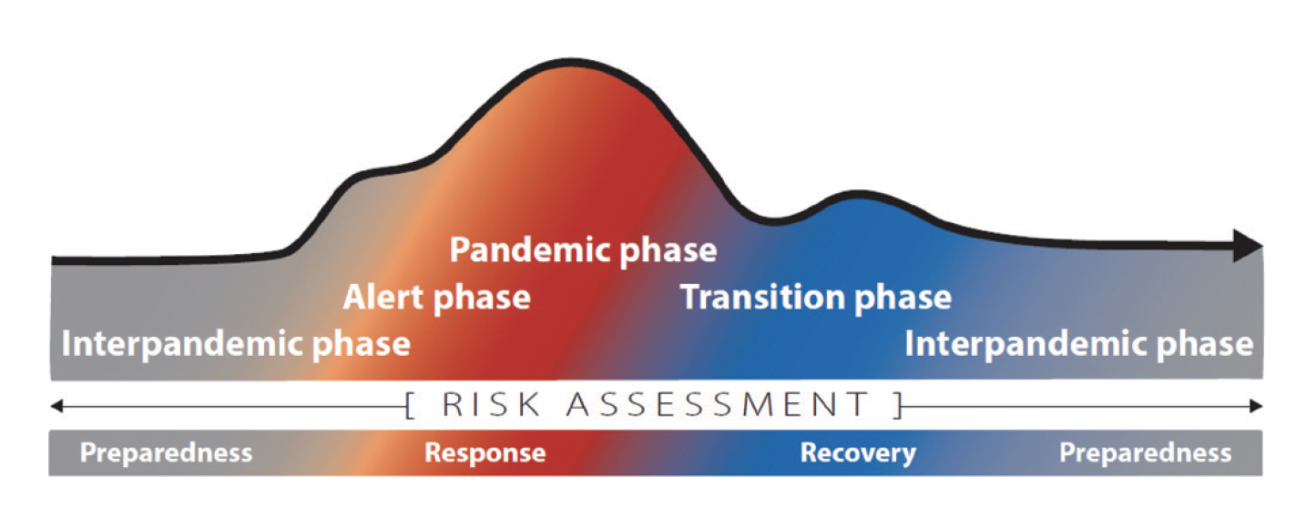 Figure 2: The Continuum of Pandemic Phases